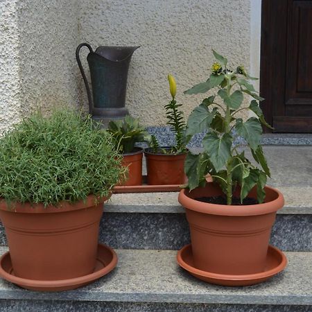 Bed and Breakfast Da Fulvia Ollano Zewnętrze zdjęcie
