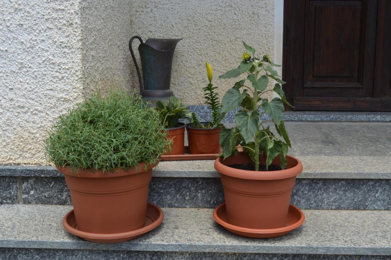 Bed and Breakfast Da Fulvia Ollano Zewnętrze zdjęcie